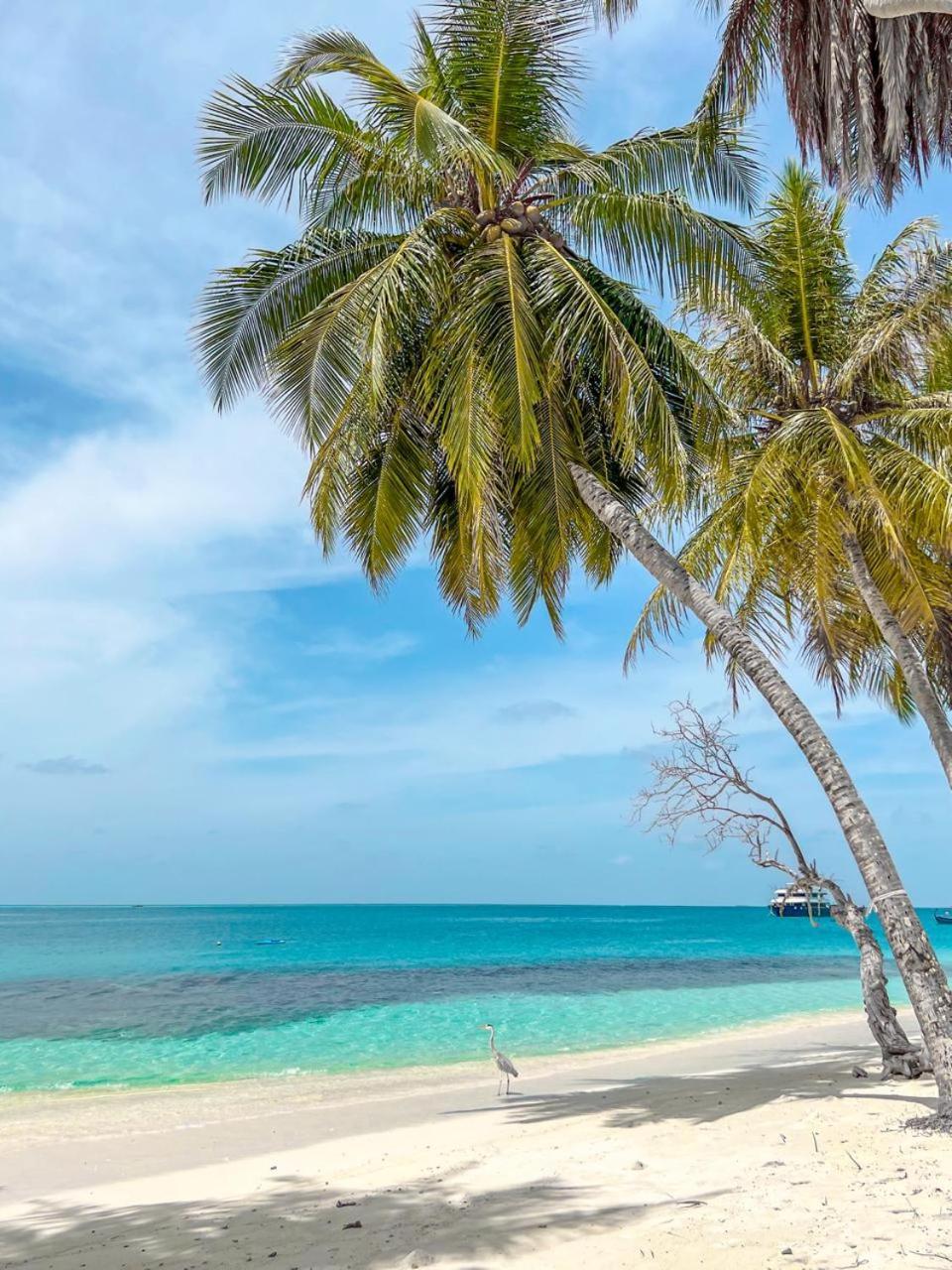 Infinite Lagoon Mandhoo Exterior foto